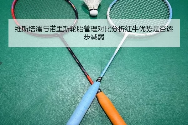 维斯塔潘与诺里斯轮胎管理对比分析红牛优势是否逐步减弱